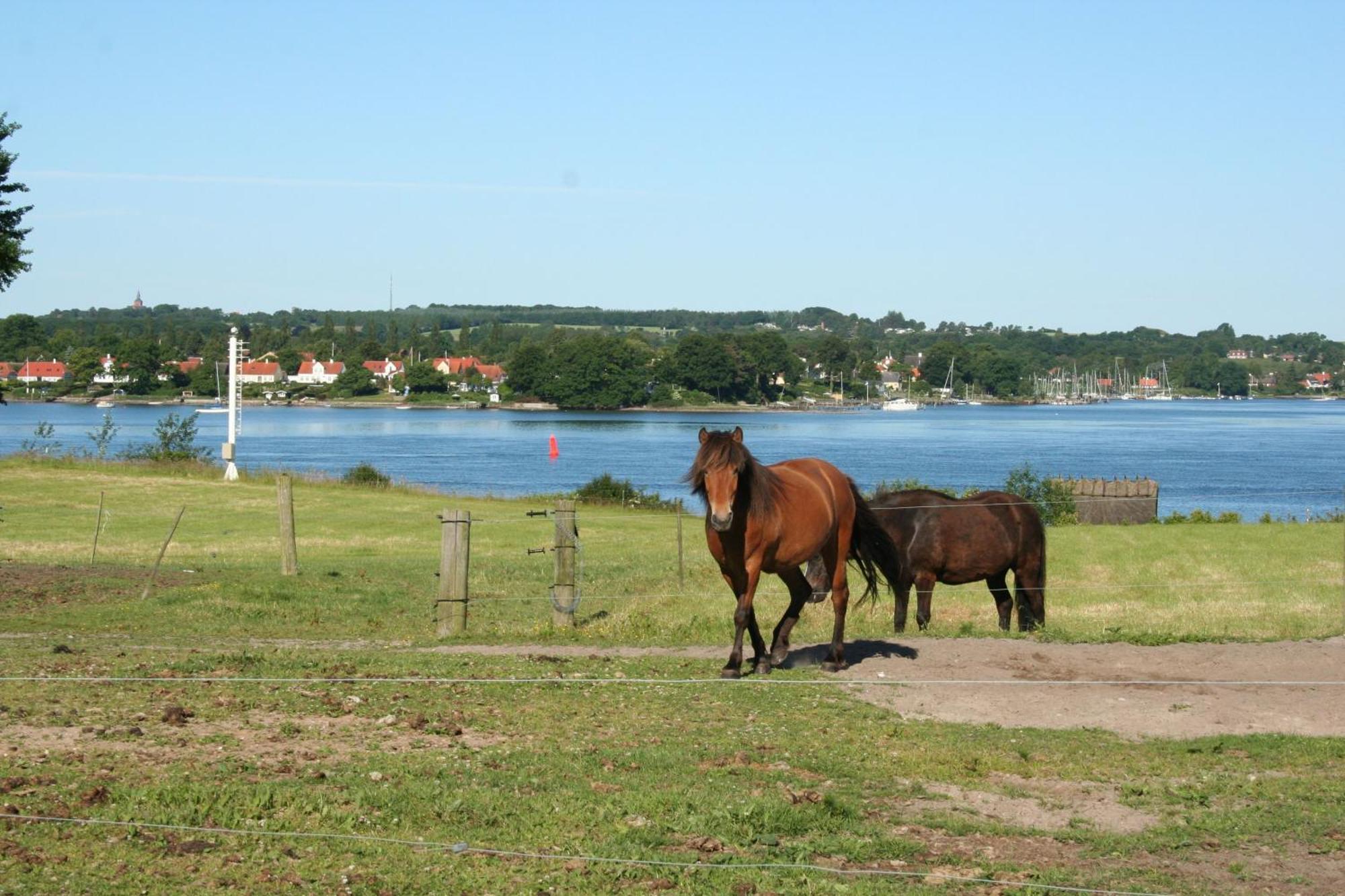 Grastenhus Guesthouse Thurø By Dış mekan fotoğraf